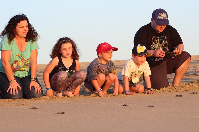 Cabo Turtle Release - Why the turtle release feels different from a normal Cabo tour