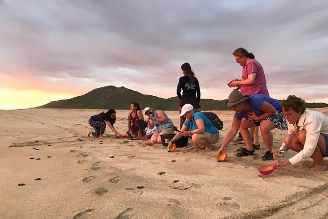 Cabo Turtle Release - A few useful planning details