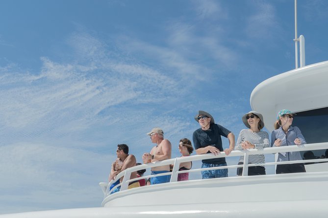 Cabo Whale Watch Three-Level Vessel and Majestic Arch - What the $95 price really covers