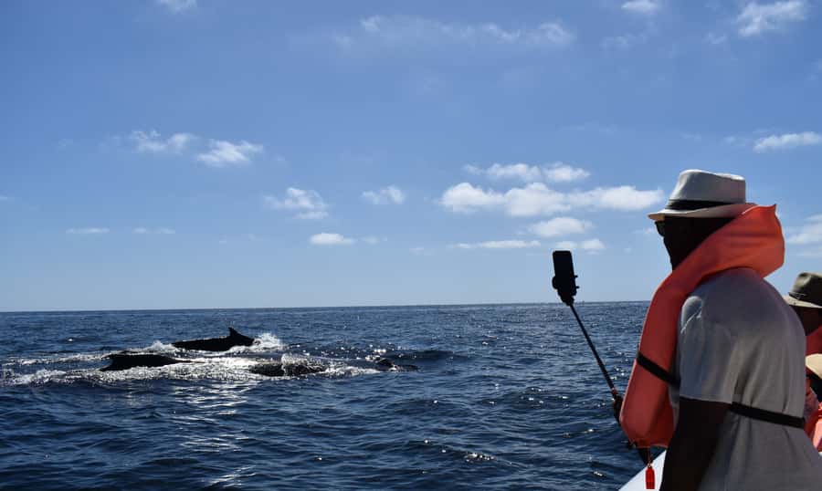 Cabo: Whale-Whatching Boat Trip w/ All-Women Crew and Photos - Hearing the whales sing through the hydrophone