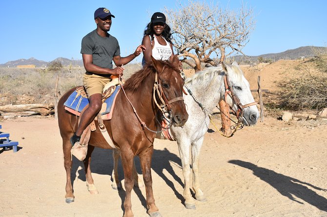 Cabo White Sand Horseback Riding Tour and Tequila Tasting - What the $85 price really buys