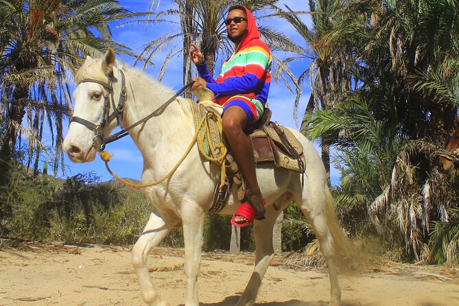 Cabo White Sand Horseback Riding Tour and Tequila Tasting - Who will enjoy this Cabo horseback ride
