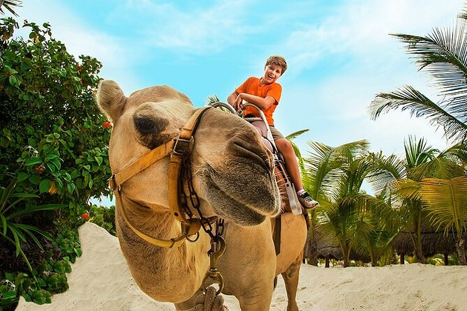 Camel Expedition and Beach Club In Riviera Maya - Shared hotel transfers need close attention