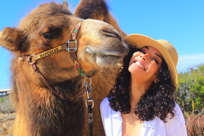 Camel Ride and UTV Combo Adventure, with Tequila Tasting - One hour beside the Pacific on camelback