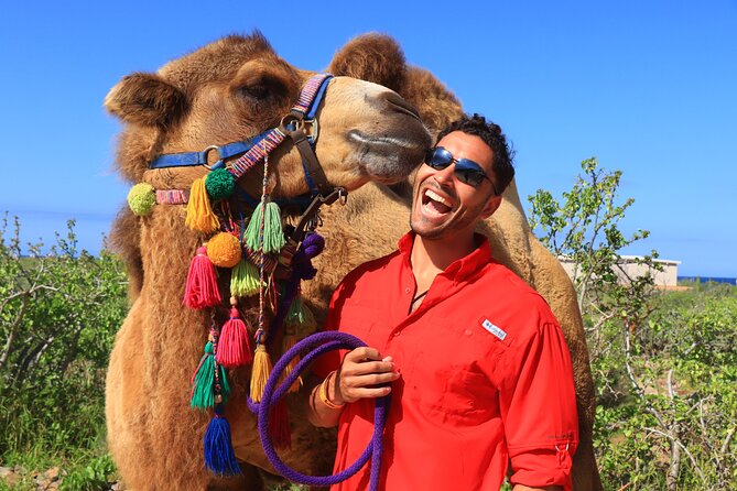Camel Ride and UTV Combo Adventure, with Tequila Tasting - Pickup, timing, and practical details