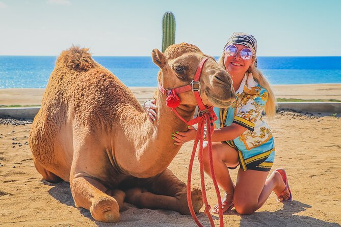 Camel Ride and UTV Combo Adventure, with Tequila Tasting - Who will enjoy this Cabo combination?