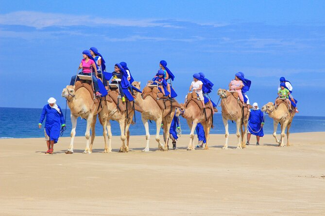 Camel Ride and UTV Combo Adventure, with Tequila Tasting - Should you book the Camel Ride and UTV Combo?