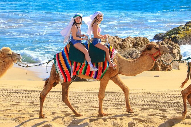 Camel Ride and UTV Combo Adventure, with Tequila Tasting - Trading camel pace for Baja horsepower