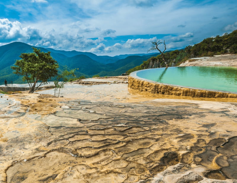 Caminos del Condoy: Boiling water, Mitla. Mezcal - Starting with the ancient Tule tree
