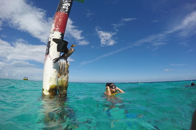 Cancun Adventure: Reef Snorkeling & Parasailing Experience - Two Caribbean activities from Marina Punta Norte