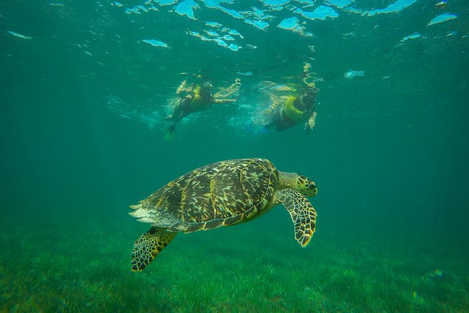 Cancun Adventure: Reef Snorkeling & Parasailing Experience - Where the tour loses time