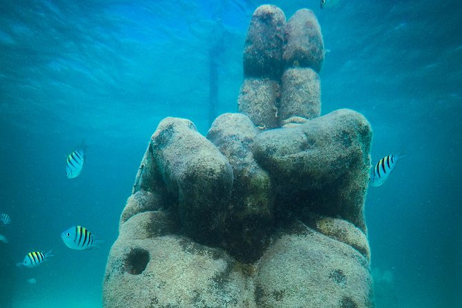 Cancun Adventure: Reef Snorkeling & Parasailing Experience - Four snorkeling stops, four different reasons to get in
