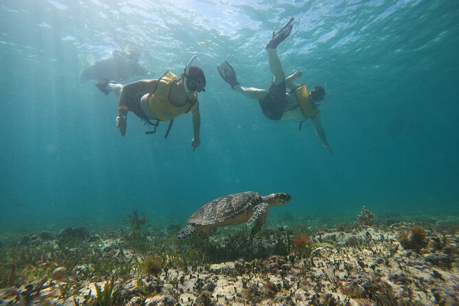 Cancun : All Inclusive Catamaran Tour to Isla Mujeres - The catamaran ride across the Caribbean