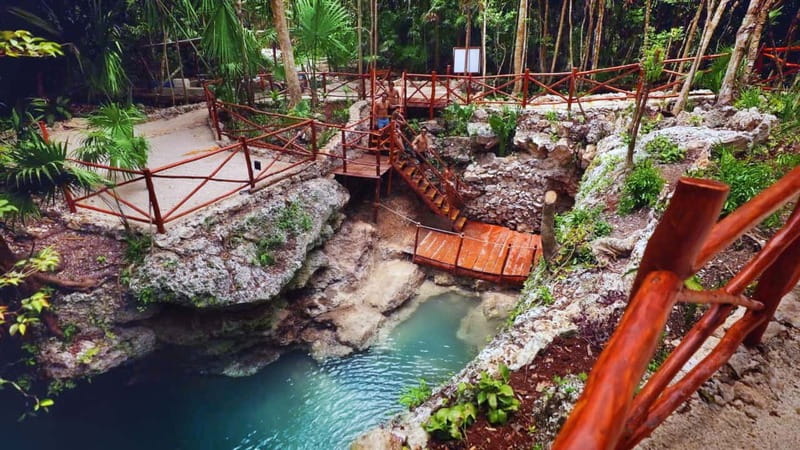 Cancún: Cenotes Adventure with Tequila Tasting & Mayan Snack - The ride from Cancún to the jungle