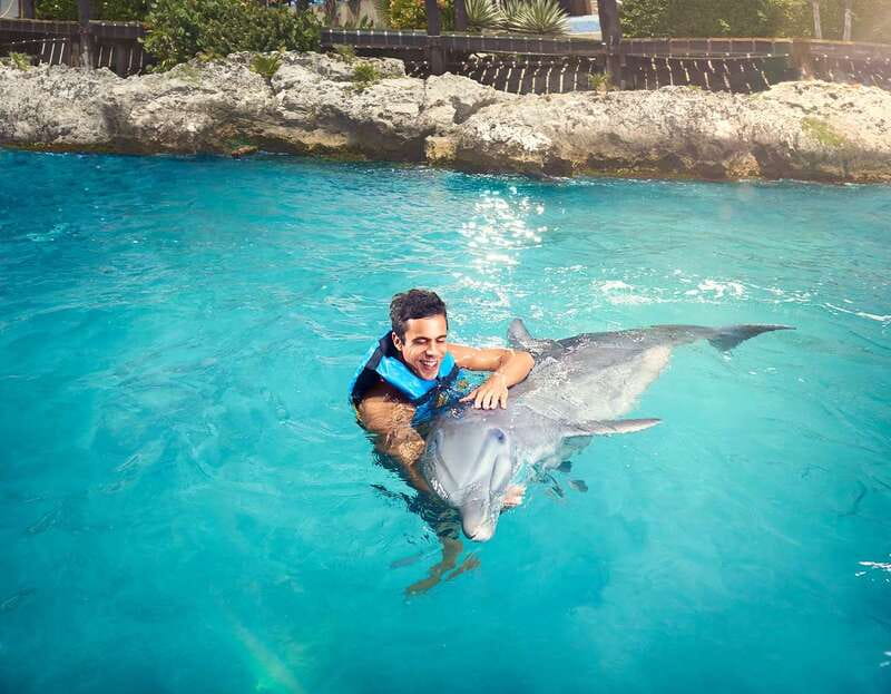 Cancún: Dolphin Encounter on Isla Mujeres with Buffet - From Playa Langosta to Isla Mujeres at 9:00 AM