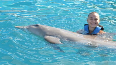 Dolphin Encounter on Isla Mujeres with Buffet