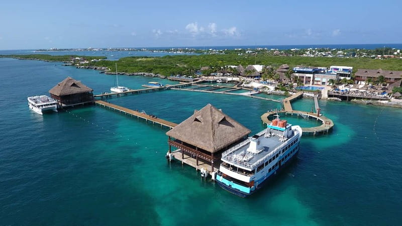 Cancún: Dolphin Encounter on Isla Mujeres with Buffet - Price, extras, and the real value