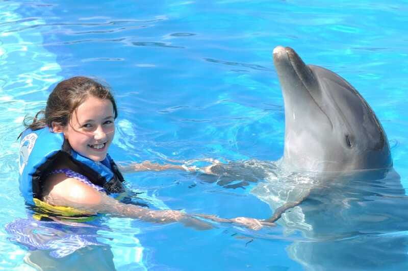 Cancún: Dolphin Encounter on Isla Mujeres with Buffet - Age, height, and comfort rules