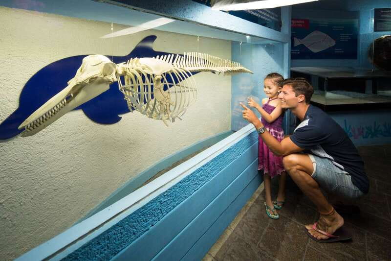 Cancún: Interactive Aquarium Admission - What your $17 ticket actually covers