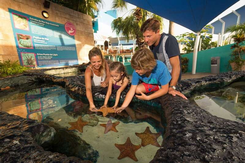 Cancún: Interactive Aquarium Admission - The touch tanks are the main event