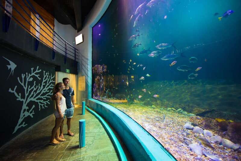 Cancún: Interactive Aquarium Admission - How long should you plan?