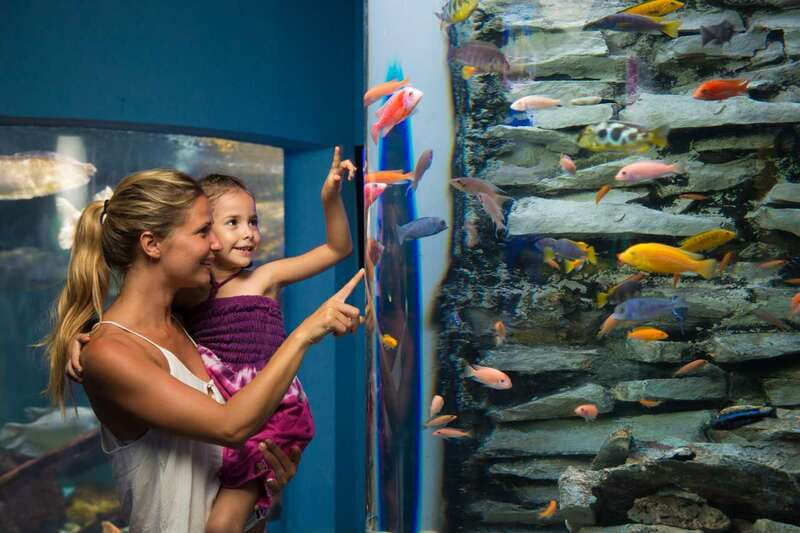 Cancún: Interactive Aquarium Admission - Wheelchair access and booking flexibility