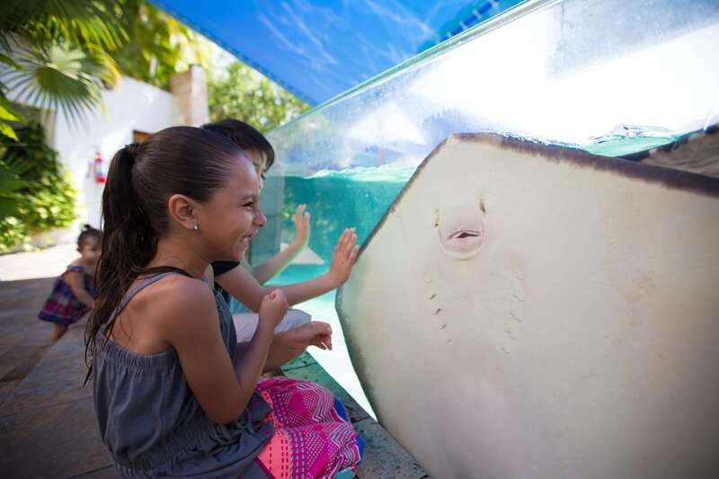 Cancún Interactive Aquarium Admission + Dolphin Presentation - Inside Plaza La Isla: Finding the Aquarium