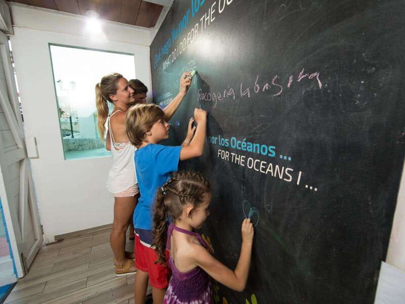 Cancún Interactive Aquarium Admission + Dolphin Presentation - The 7:00 pm Dolphin Presentation