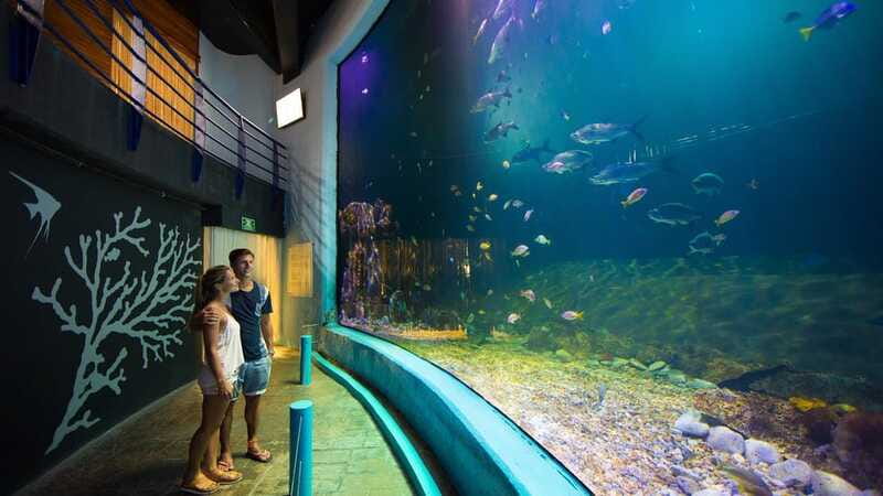 Cancún Interactive Aquarium Admission + Dolphin Presentation - Is $26 a Fair Price?