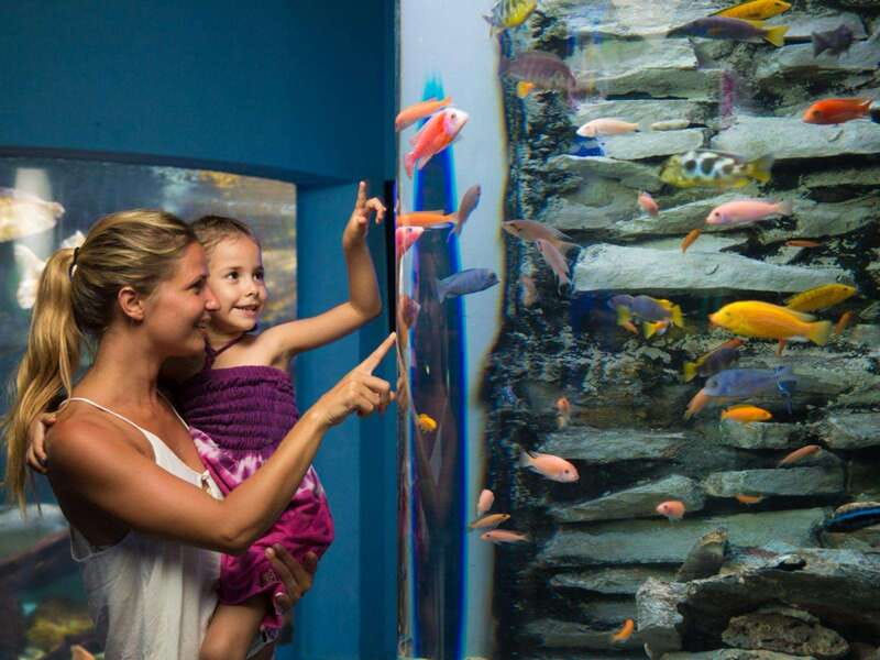 Cancún Interactive Aquarium Admission + Dolphin Presentation - Who Will Enjoy This Visit Most?