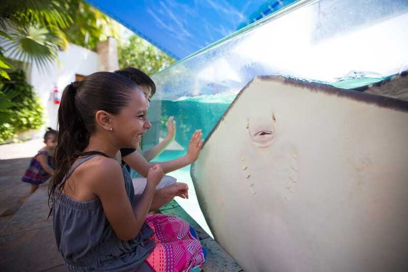 Cancún Interactive Aquarium Admission + Dolphin Presentation - Planning Your Visit Around the Evening Show