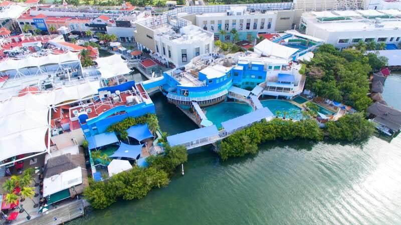 Cancún Interactive Aquarium Admission + Dolphin Presentation - The Fish Tanks and 1,195 Specimens