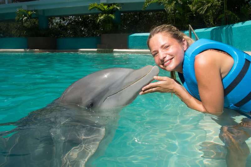 Cancun: Interactive Aquarium - Swim with Dolphins Splash - The 35-Minute Schedule