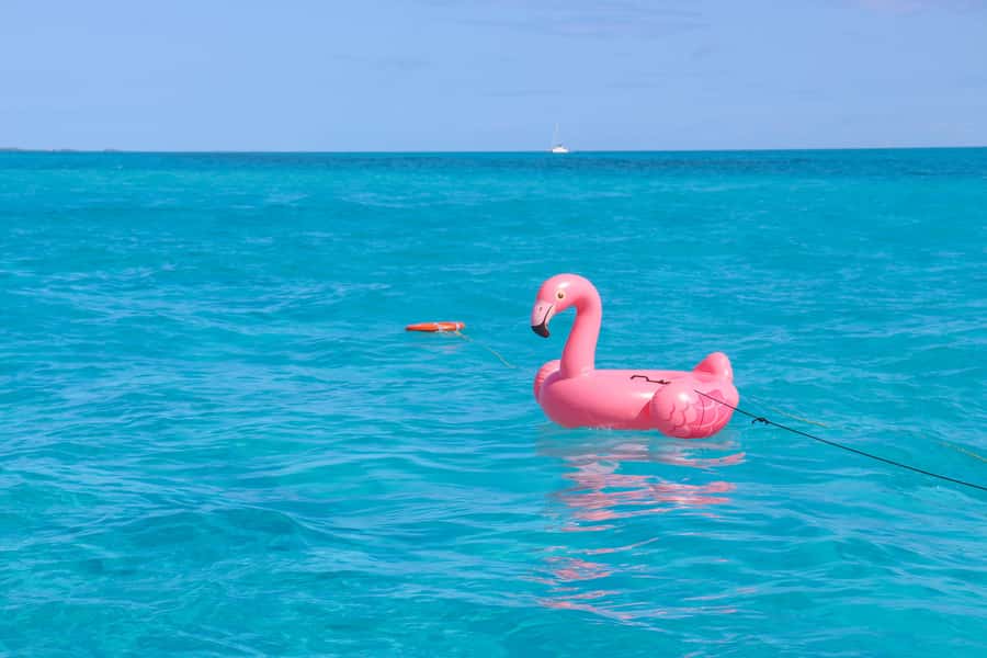 Cancun: Isla Mujeres Full Day Dancer Cruise - Practical details that make the day easier