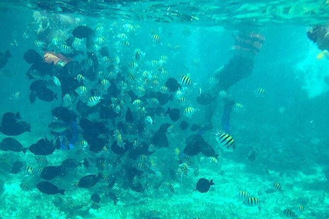 Cancun Jetski and Snorkel Adventure - What happens at El Meco Reef
