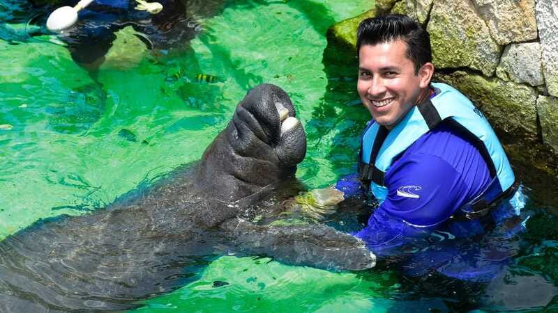 Cancún: Manatee Encounter on Isla Mujeres with Buffet Lunch - Who should book this Isla Mujeres day?