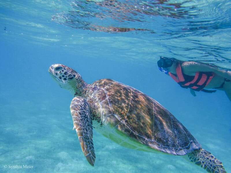 Cancun: Marine Turtle Observation in Akumal - The cenote stop, with one important warning