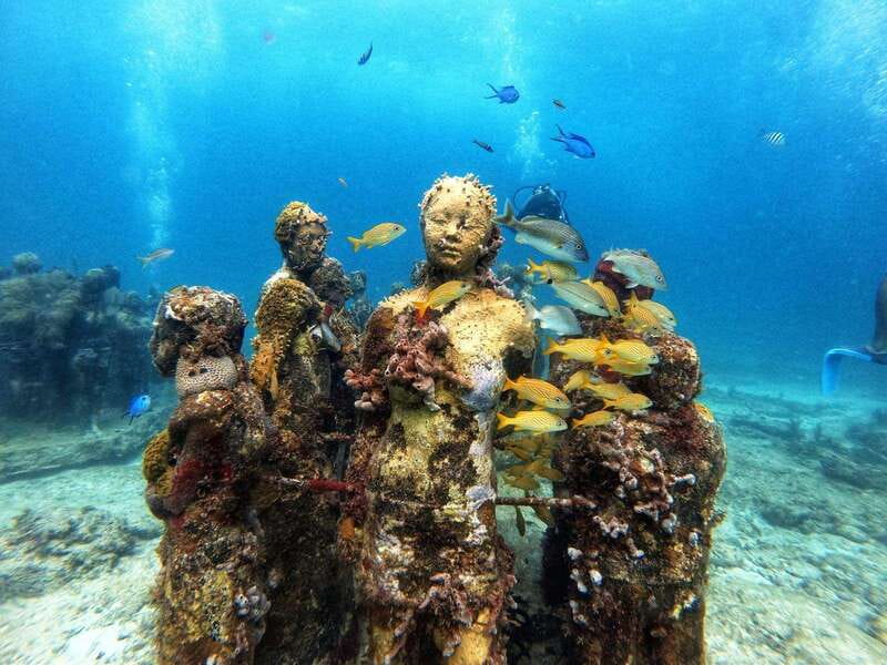 Cancun: Musa Underwater Museum & Reef Discover Scuba Diving - Key points to know before booking