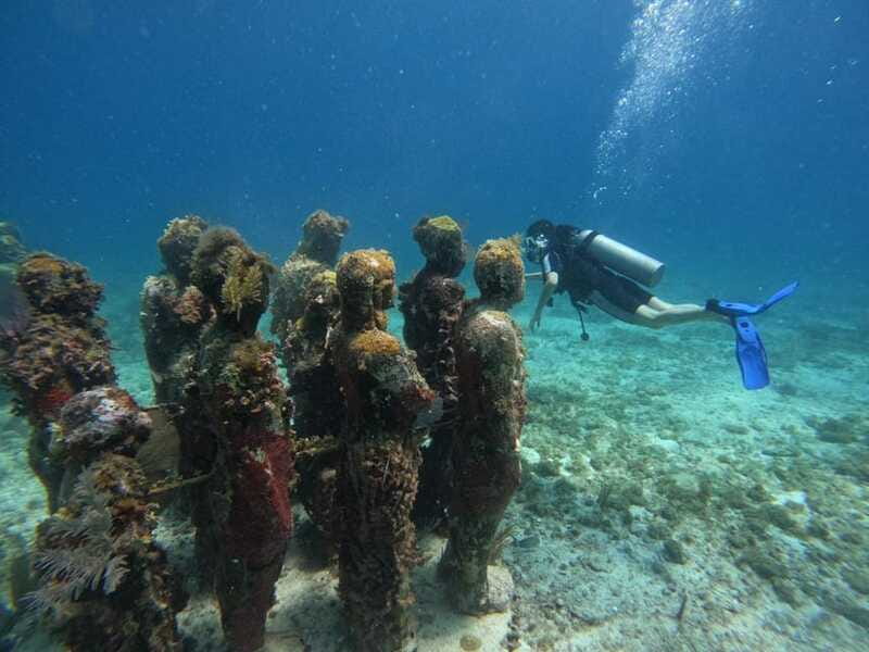 Cancun: Musa Underwater Museum & Reef Discover Scuba Diving - The reef adds the natural counterpoint