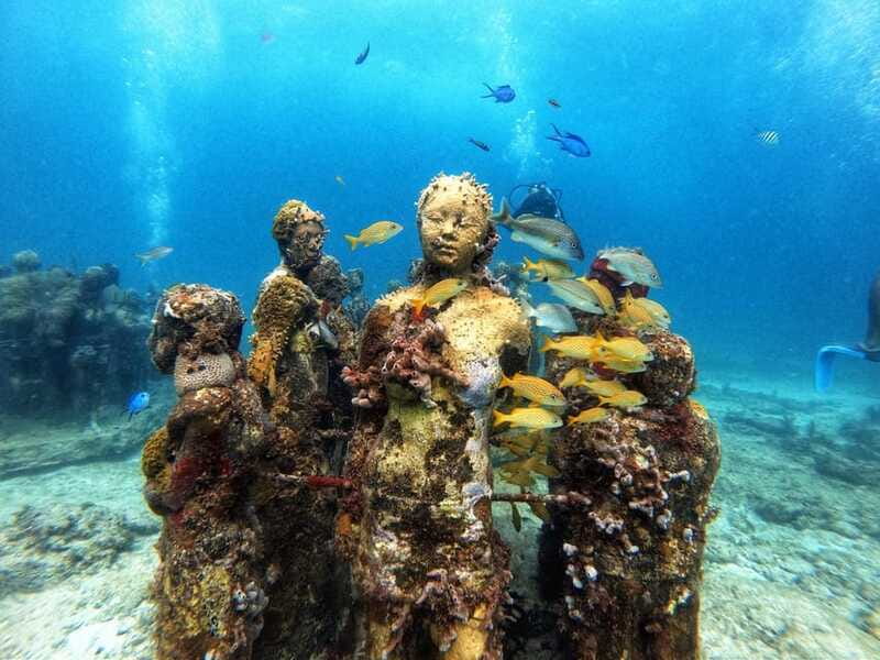 Cancun: Musa Underwater Museum & Reef Discover Scuba Diving - Who should book this Cancun scuba experience
