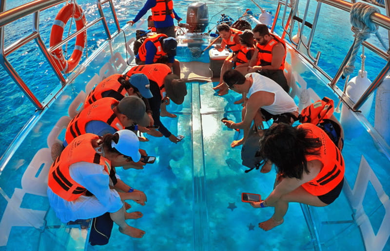 Cancún: Nichupté Lagoon Transparent Boat Tour with Drinks - My practical advice for a better ride