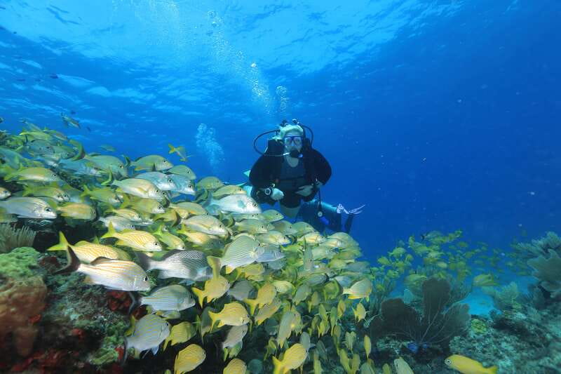 Cancun: Scuba Diving for Beginners, 2 Dives - First stop: the MUSA Underwater Museum