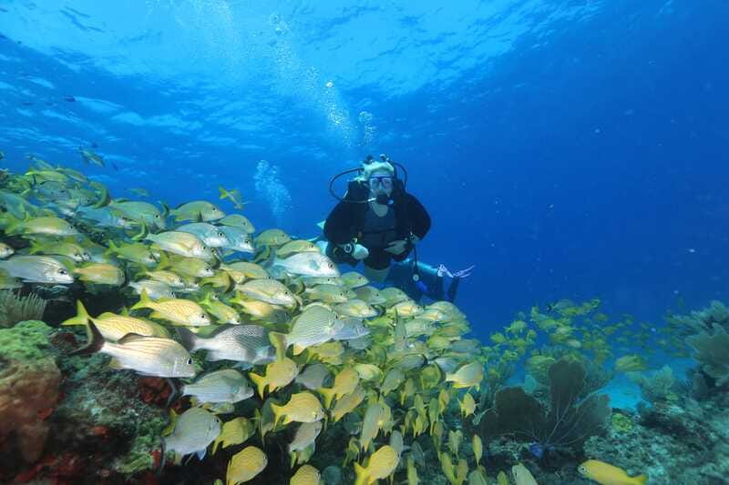 Cancun: Scuba Diving for Beginners, 2 Dives - What the $167 price really covers