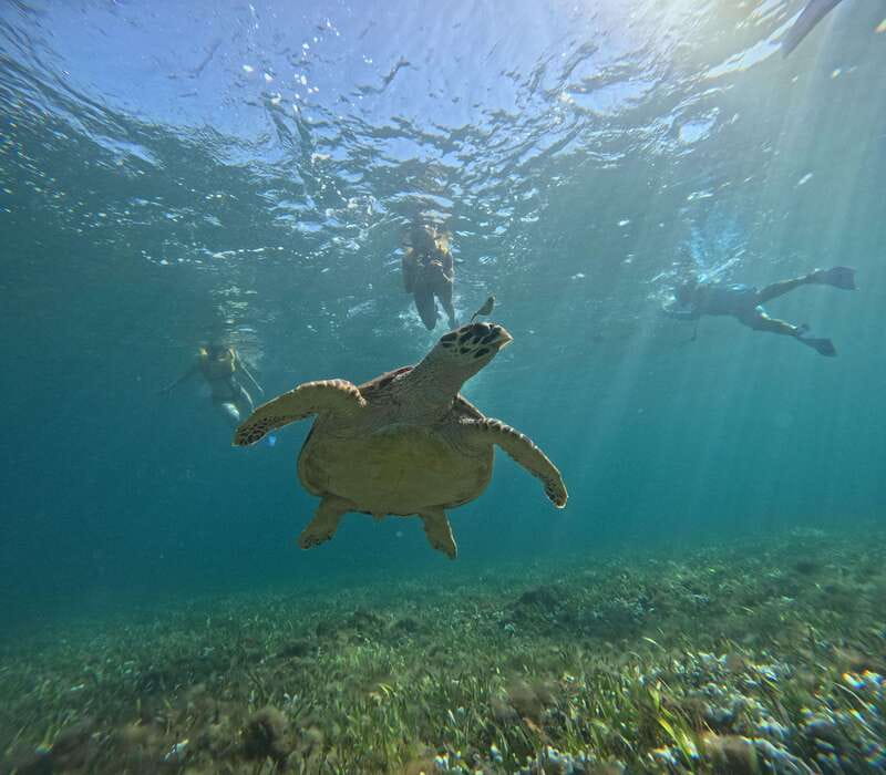 Cancun: Snorkeling Boat Tour with Gear - Five stops packed into one Cancun boat trip