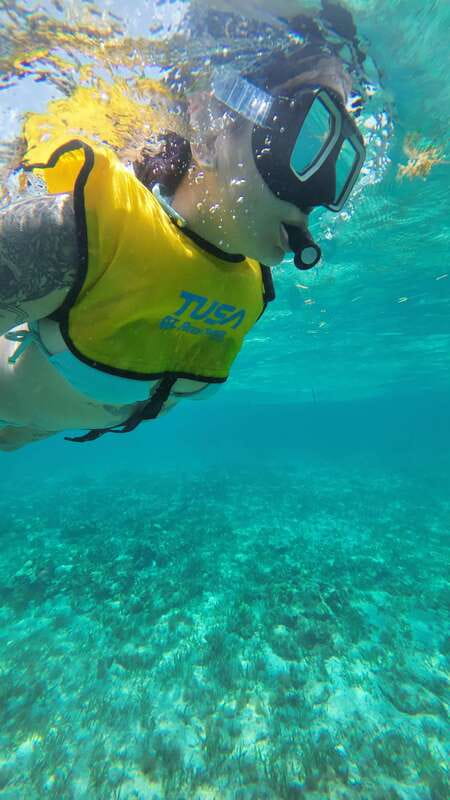 Cancun: Snorkeling Boat Tour with Gear - El Meco reef, the easiest first look underwater