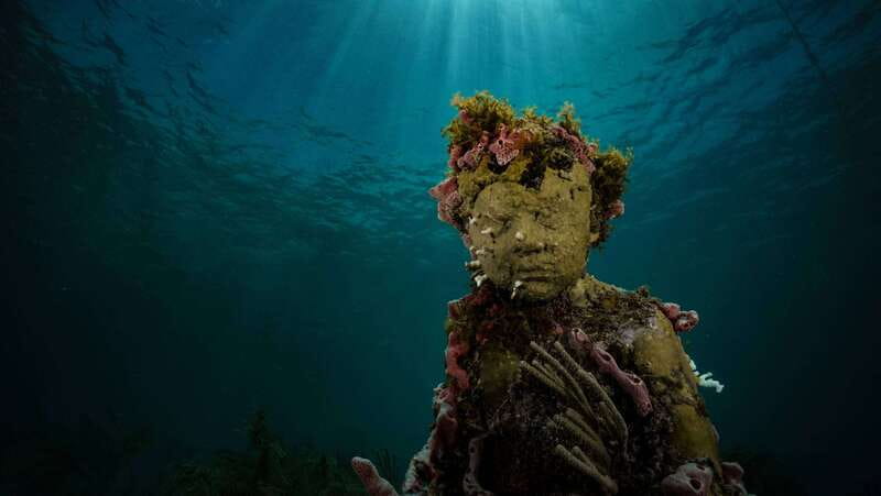 Cancun: Snorkeling Tour at MUSA The Underwater Museum - Manchones Reef brings the fish into focus