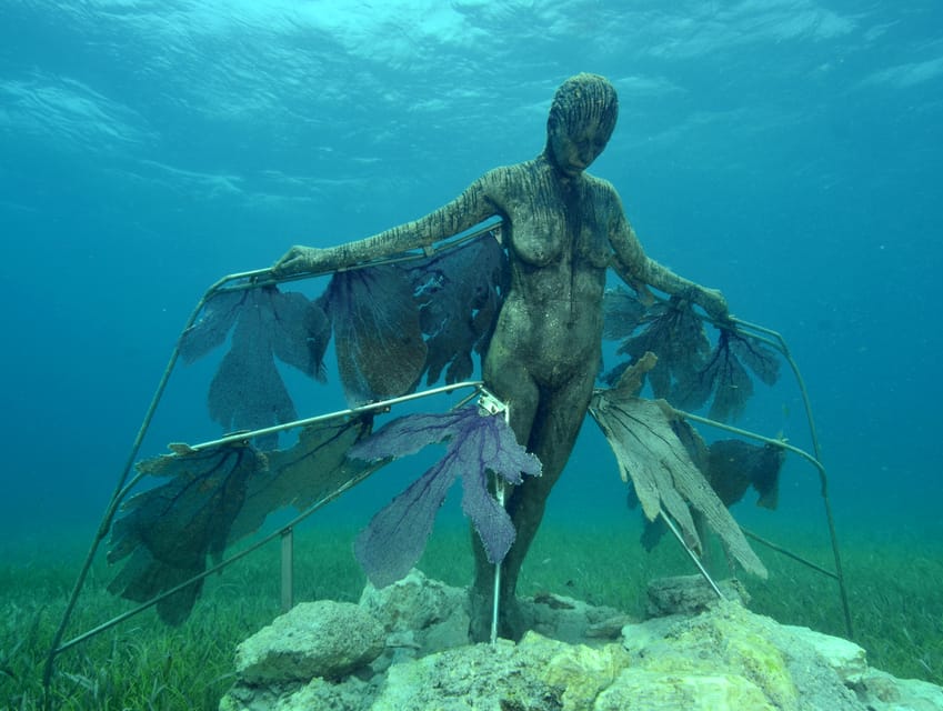 Cancun: Snorkeling Tour at MUSA The Underwater Museum - Water temperature, sun, and what to pack