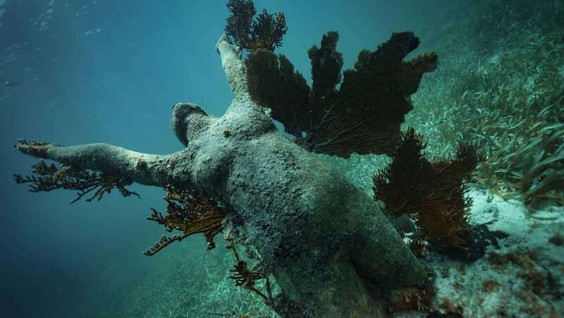 Cancun: Snorkeling Tour at MUSA The Underwater Museum - Is 58 USD a fair price?