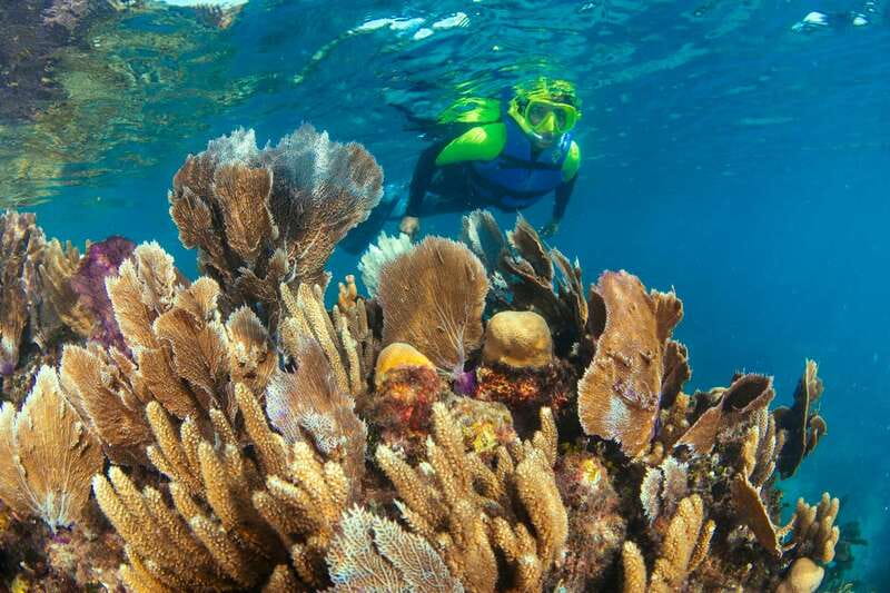 Cancun: Snorkeling Tour at MUSA The Underwater Museum - Weather matters more than the brochure can show
