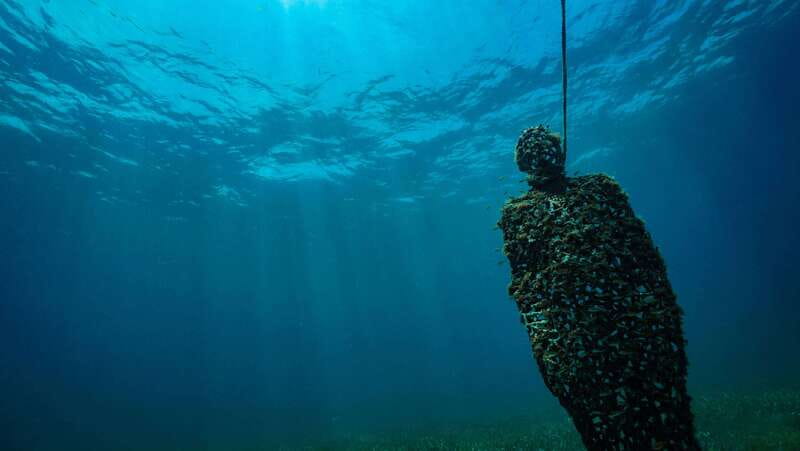 Cancun: Snorkeling Tour at MUSA The Underwater Museum - Who will enjoy this tour most?